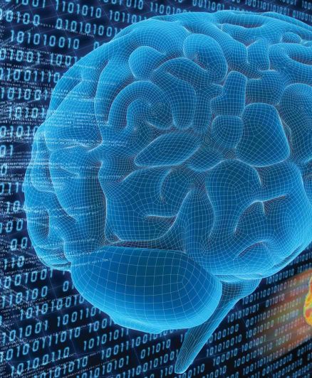 Computing Brain Computation